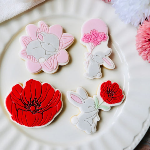 Lapin coquelicot
