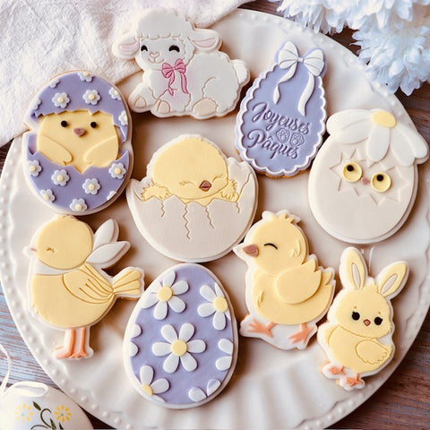 Poussin lapin