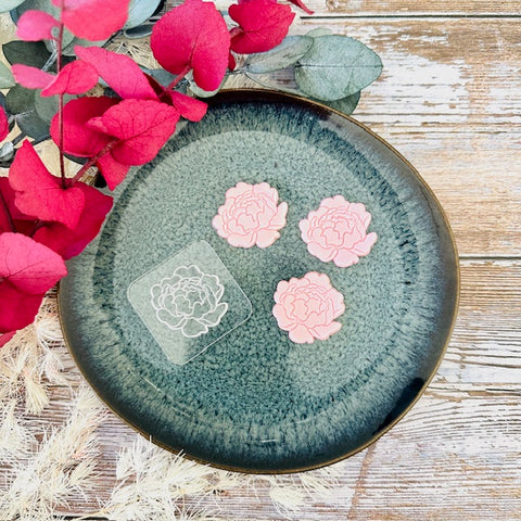 Mini pivoine
