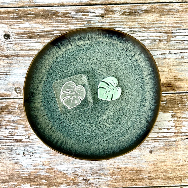 Mini monstera