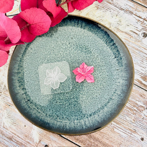 Mini hibiscus